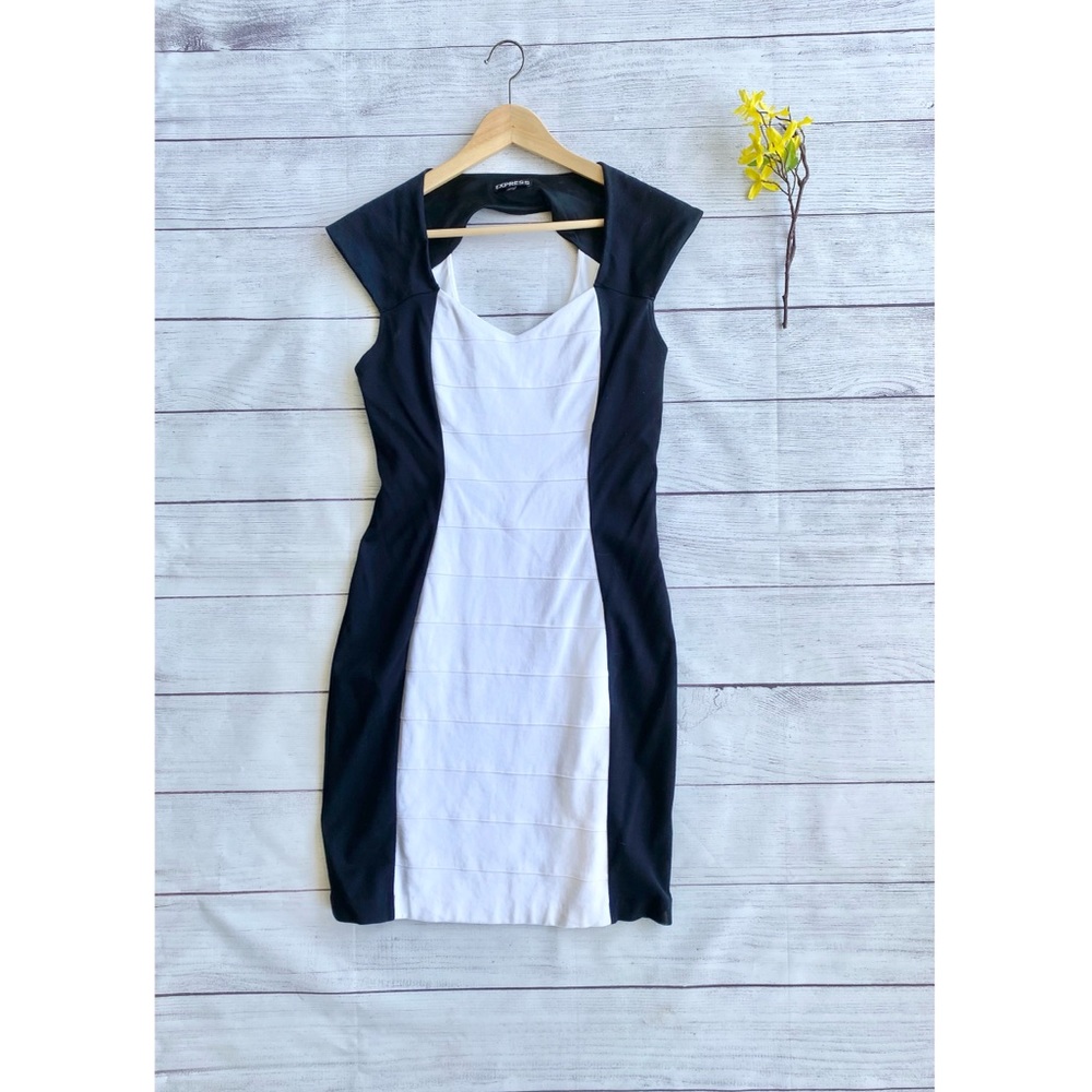 EXPRESS Mini Dress